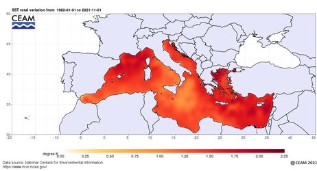 SST-NCEI-Mediterranean-map-global-daily-trend.jpg