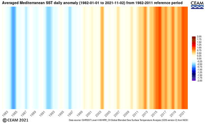 SST-NCEI-anomaly-warming-stripe.jpg