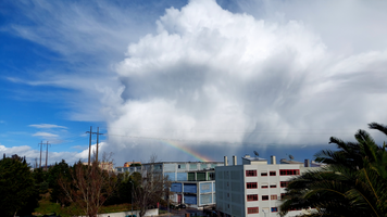 Leste_20240307_153642c.webp