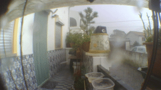 output.gif