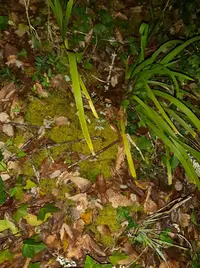 20250309_203307.webp