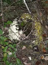 20250309_202947.webp