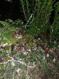 20250309_202448.webp