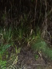 20250309_185628.webp