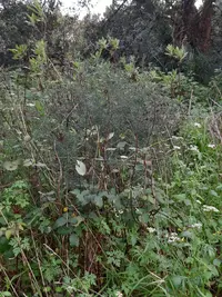 20250327_171909.webp