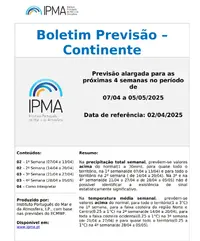 1743786977452.webp