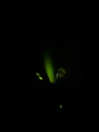 20250528_234556.webp