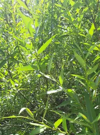 20250608_134633.webp