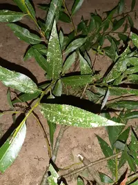 20250609_002918.webp