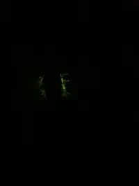 20250615_220015.webp