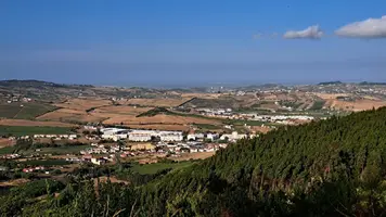 20250723_192354.webp