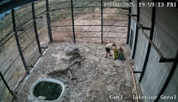 2024396.webp