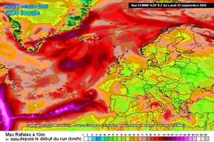 ecmwf-32-360_VMáx-acumul_00z.webp