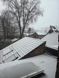 WhatsApp Image 2026-01-03 at 10.18.35.webp