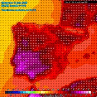 GFS312-582SP_14.GIF