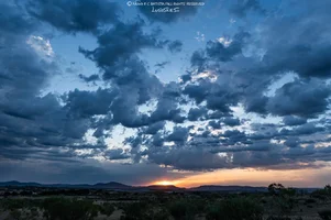 2026.06.14 - 061042 (NIKON D780) [MA_LS].webp