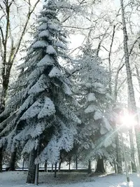 IMG-20230118-WA0005.webp