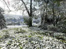 IMG-20230118-WA0007.webp