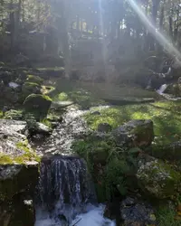 IMG-20231106-WA0021.webp