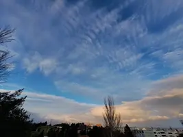 20240223_180155.webp