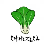 chinezeca
