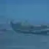 Assunção Araújo