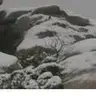 H2O