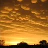 Mammatus