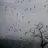 Perfect Storm